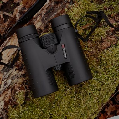 Cyber Monday Kikkert