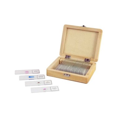 Mikroskop Præparater