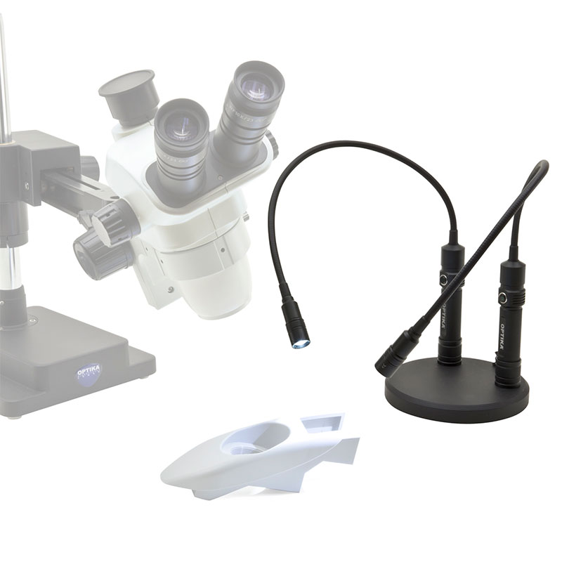 At håndtere aktivering Beundringsværdig Optika CL-31 lysarm til mikroskop | Lys til mikroskoper | Køb Online