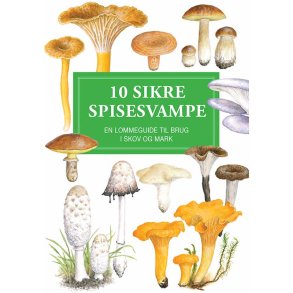 10 Sikre Spisesvampe bog