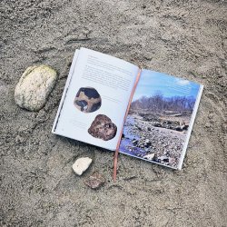 Sten Langs Stranden bog