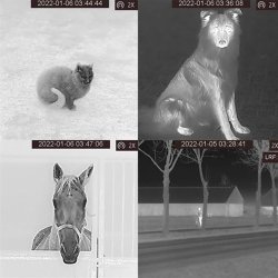 AGM Termisk Kikkert Fuzion TM35-640