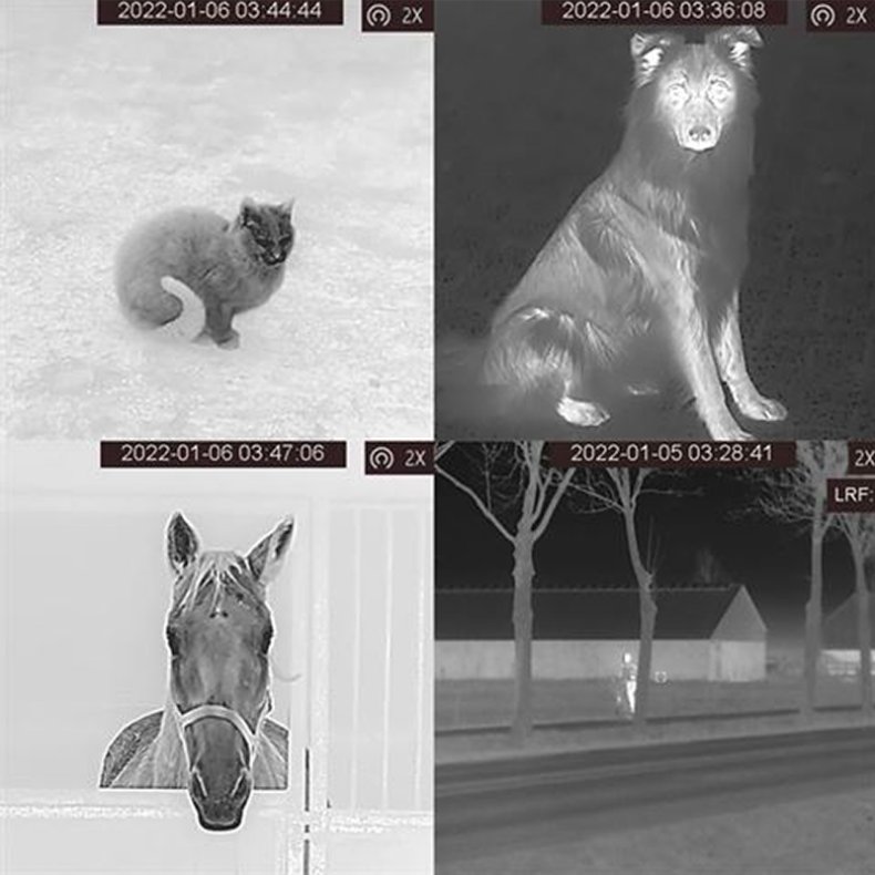 AGM Termisk Kikkert Fuzion TM35-640