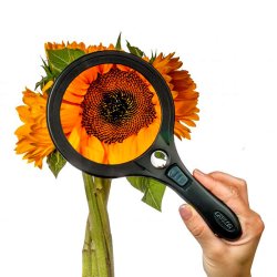 Carson lseglas med LED lys, 110 mm