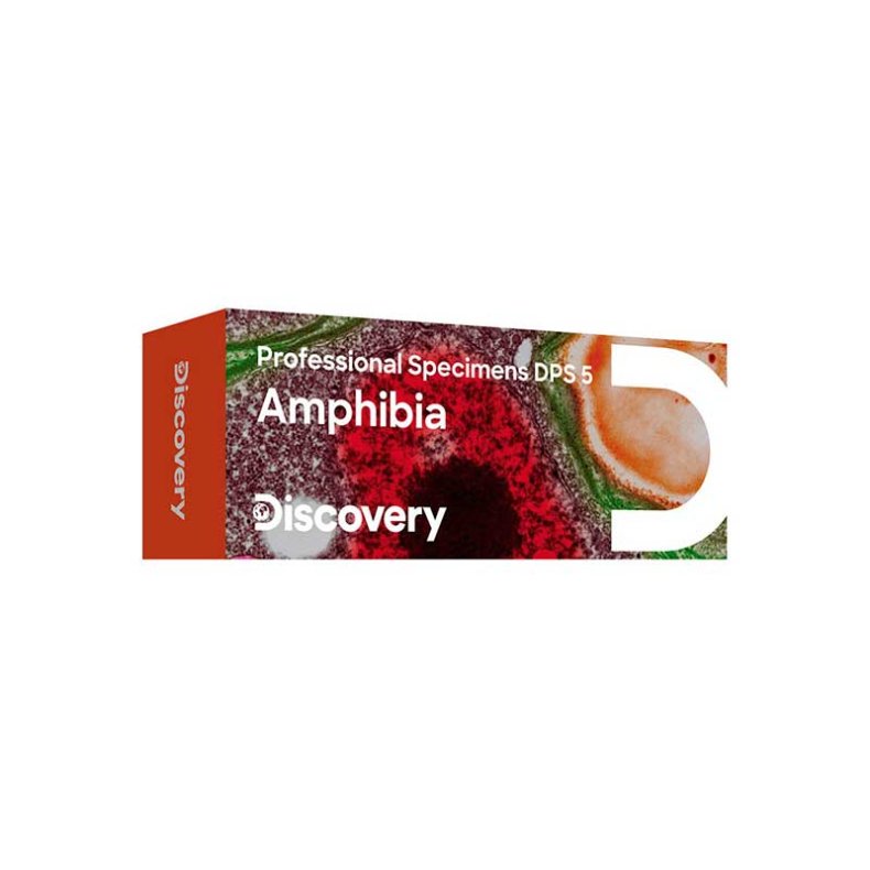 Discovery Mikroskop Preparater Amfibie
