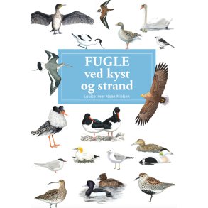 Fugle ved Kyst og Strand bog