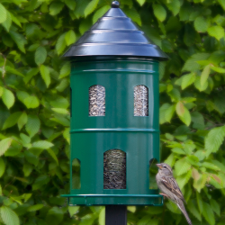 Wildlife Garden Gigantmatare Gr&ouml;n