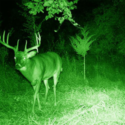 Luna Digital Kikkert 5-30x44, gen. 3