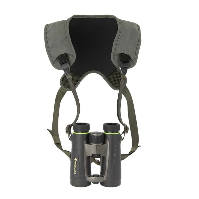 Vanguard Endeavor PH1 