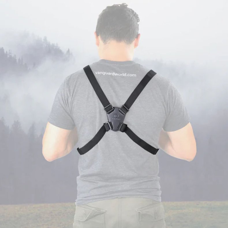 Vanguard Kikkertsele