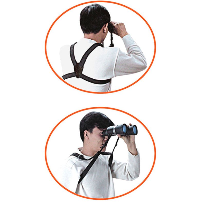 Vanguard Kikkertsele