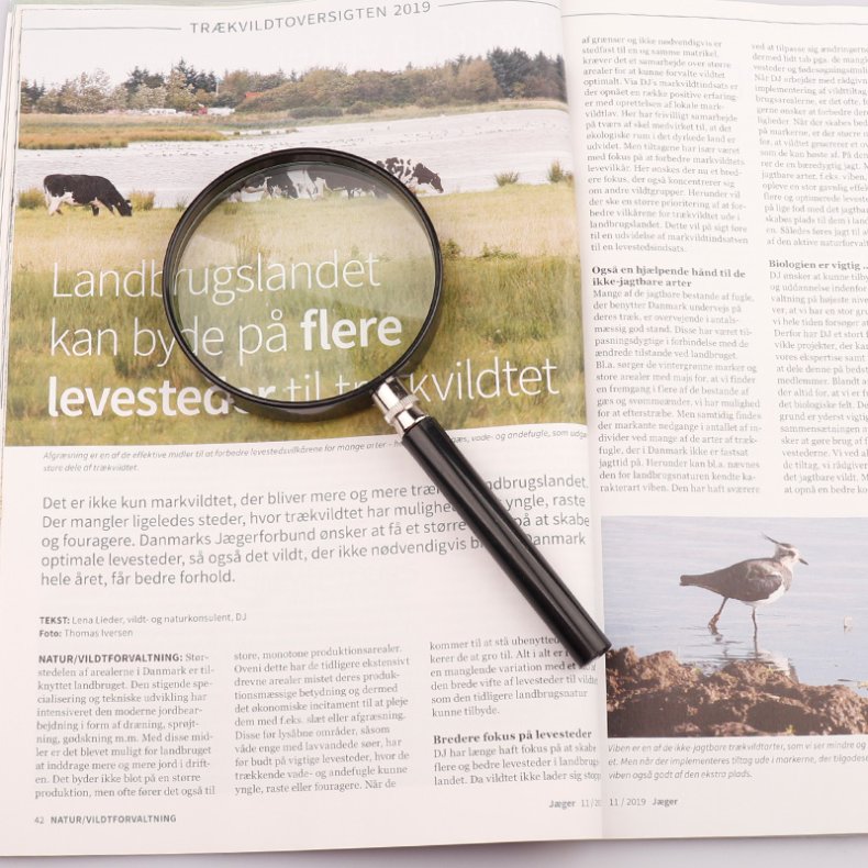 Viewlux Lup, 2x, 90mm