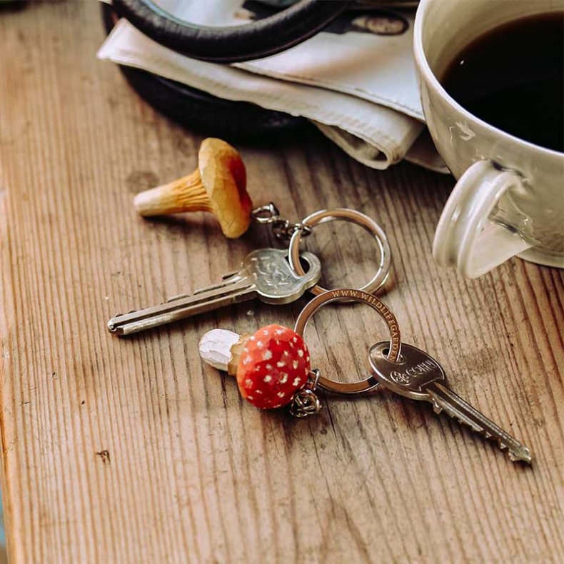 Wildlife Garden Nglering Fluesvamp