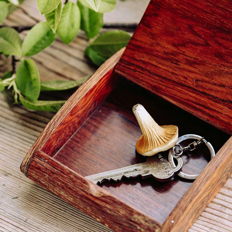 Wildlife Garden Nyckelring Kantarell