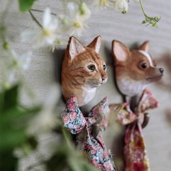 Wildlife Garden Knage Huskat