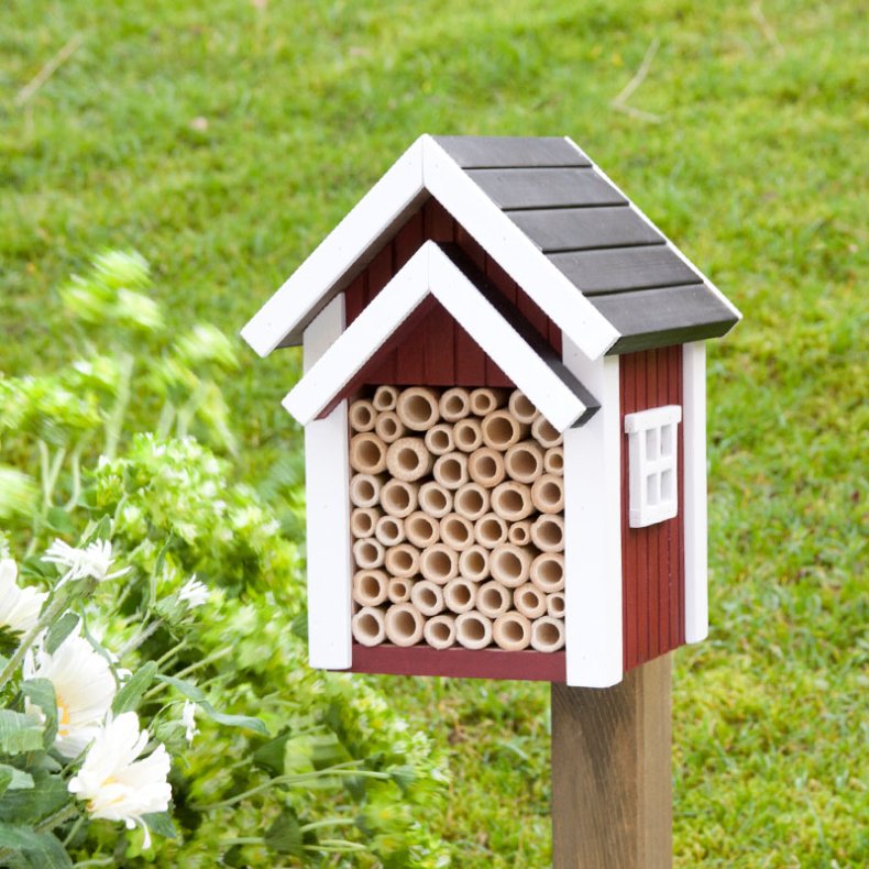 Wildlife Garden Bihus Rd