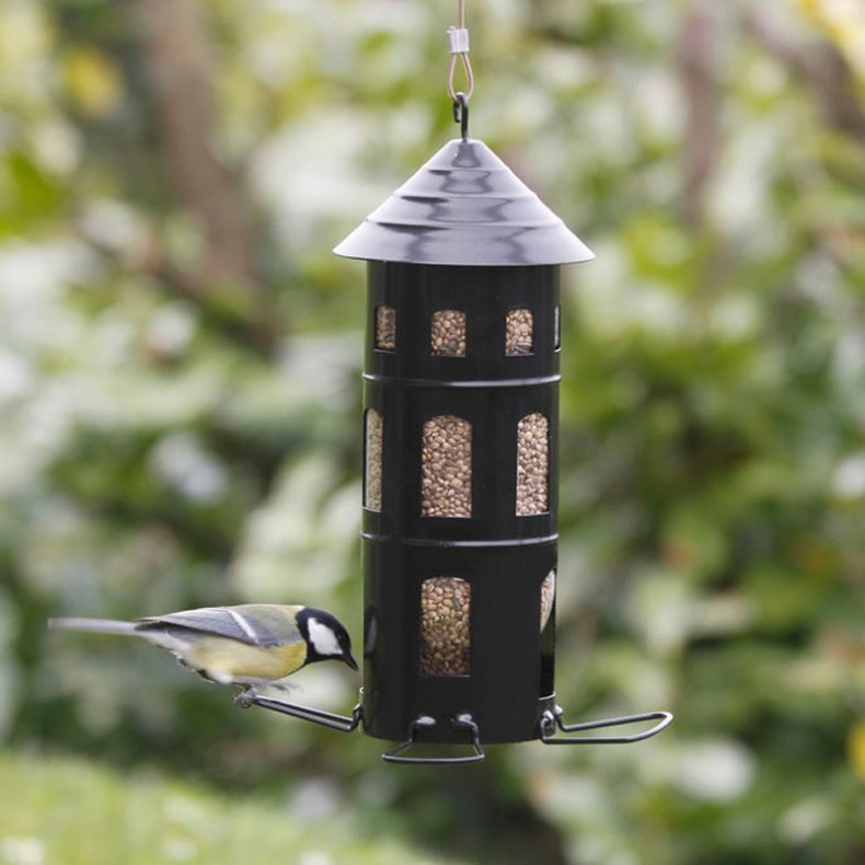 Wildlife Garden Kombimatare Svart