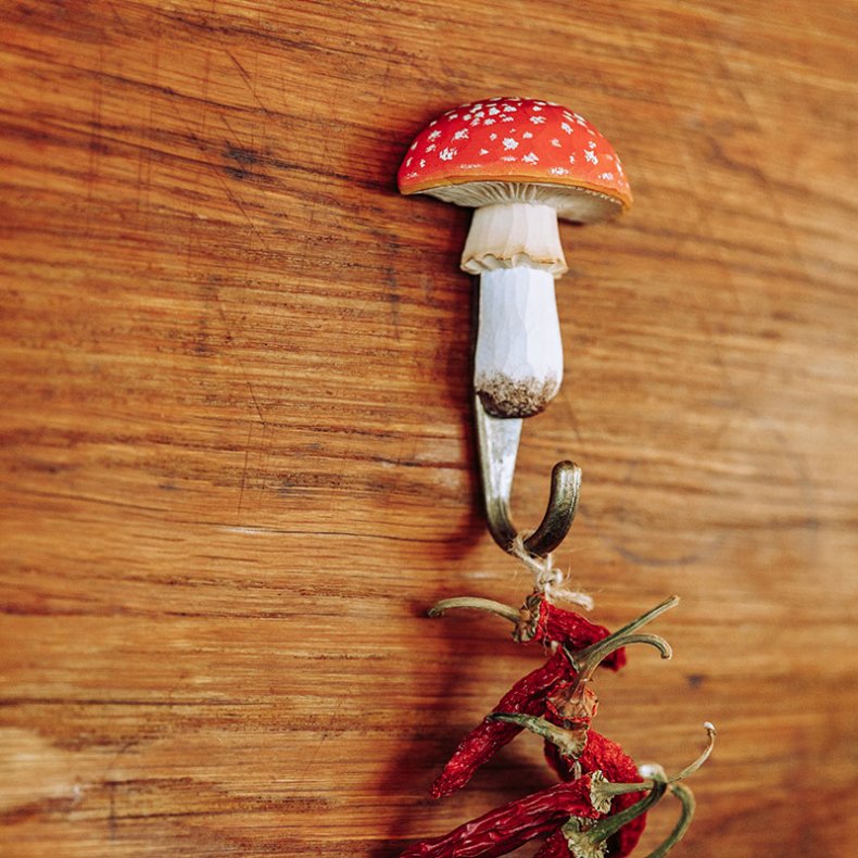 Wildlife Garden Knage Fluesvamp