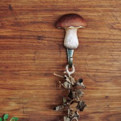 Wildlife Garden Krok Karljohanssvamp