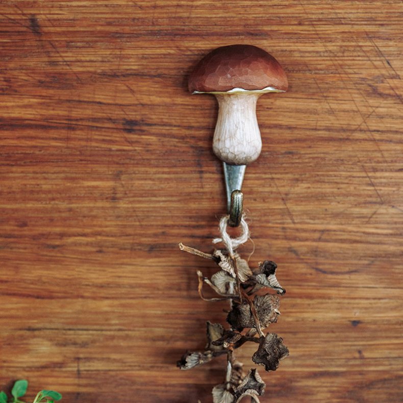 Wildlife Garden Krok Karljohanssvamp