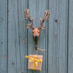 Wildlife Garden Knage Kronhjort