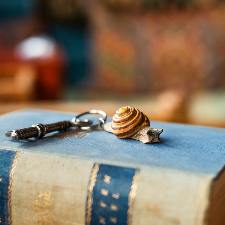 Wildlife Garden Nglering Snegl