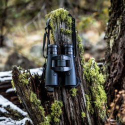 ZEISS Victory RF Kikkert