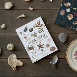 Stranden - Dyr og Planter bog