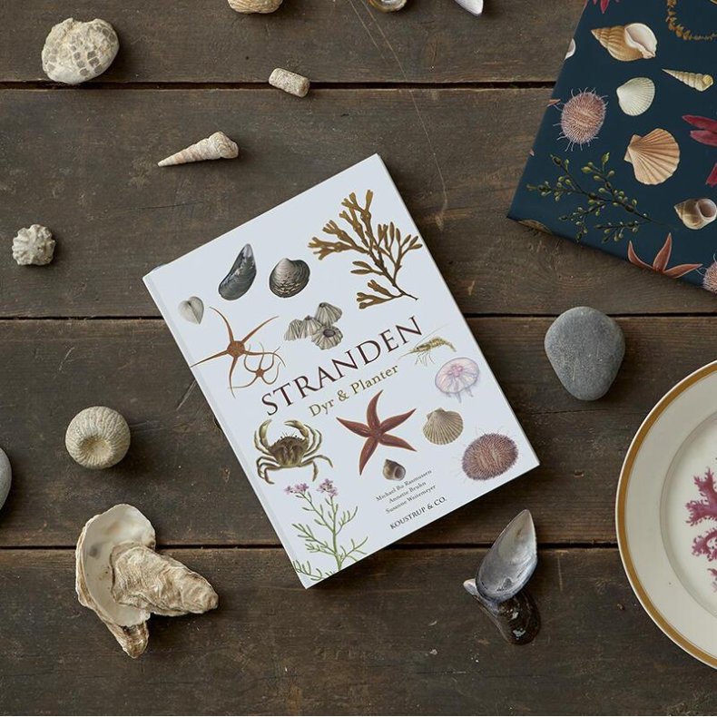 Stranden - Dyr og Planter bog