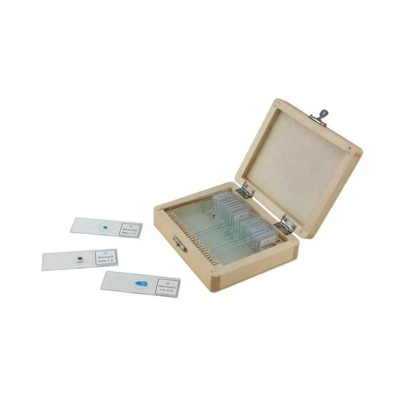 Celestron Mikroskop Preparat, 25 stk