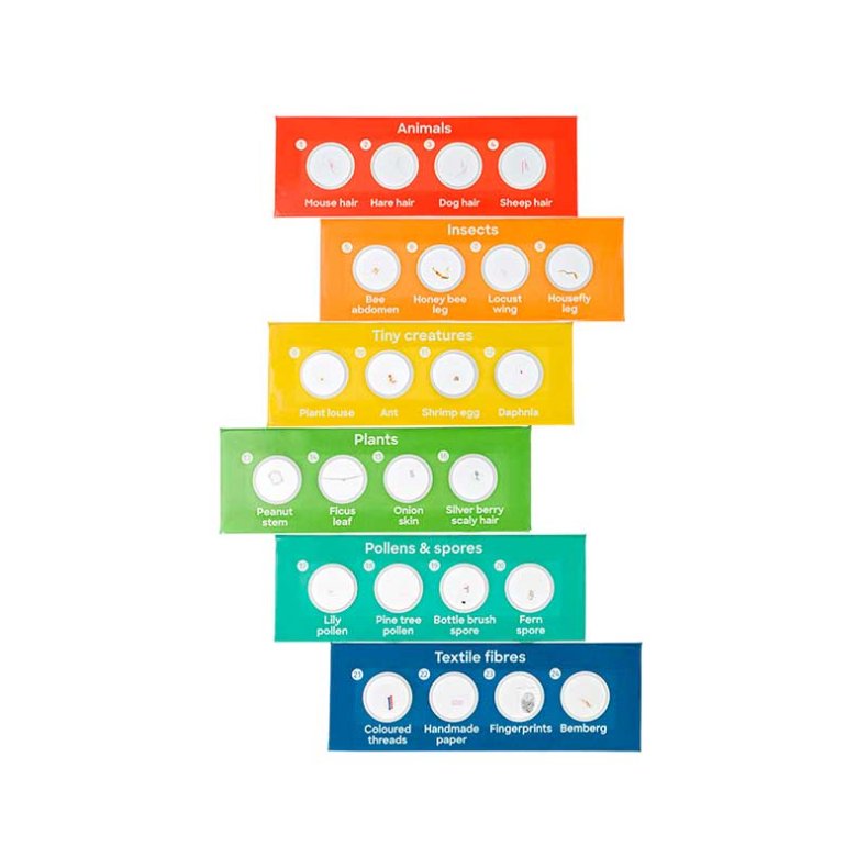 Discovery Mikroskop, 40-640x, vit