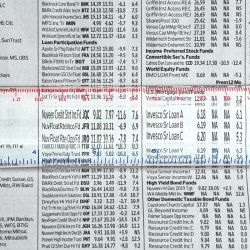 Carson lselineal med inddeling