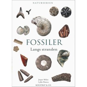 Fossiler Langs Stranden bog