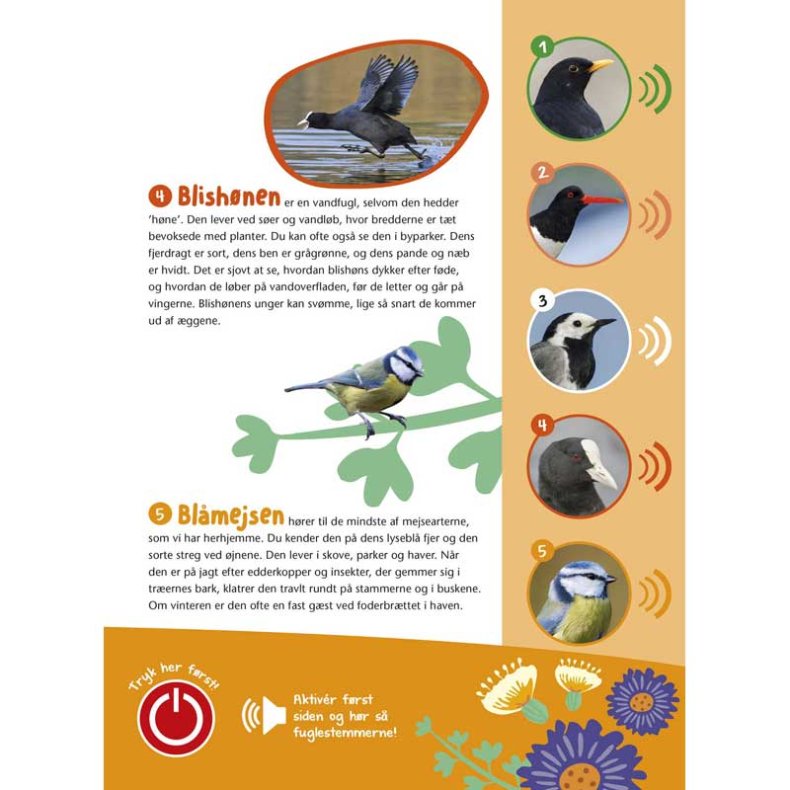 Fugle i vores natur bog