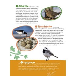 Fugle i vores natur bog