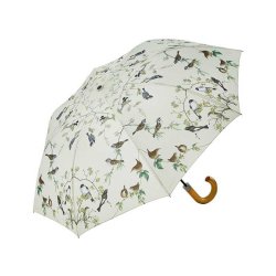 Trdgrdsfglar paraply