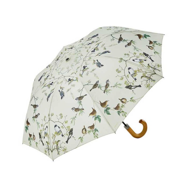 Trdgrdsfglar paraply