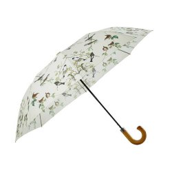 Trdgrdsfglar paraply