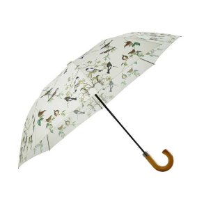 Trdgrdsfglar paraply