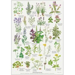 Krydderurter plakat A2