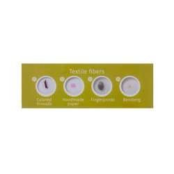 Mikroskoppreparat Biologi