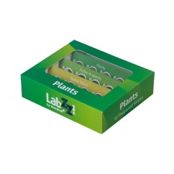 Mikroskoppreparat Biologi