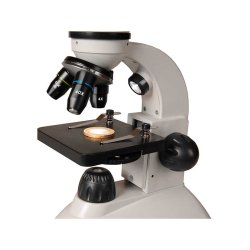 SCHOLARIS 400, 40-400x