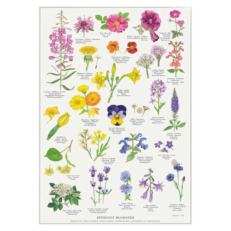 Spiselige Blomster plakat A2