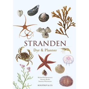 Stranden - Dyr og Planter bog