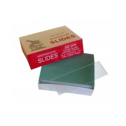Objektglas til Mikroskop, 50 stk