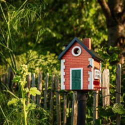 Wildlife Garden Fuglehus Stenhus