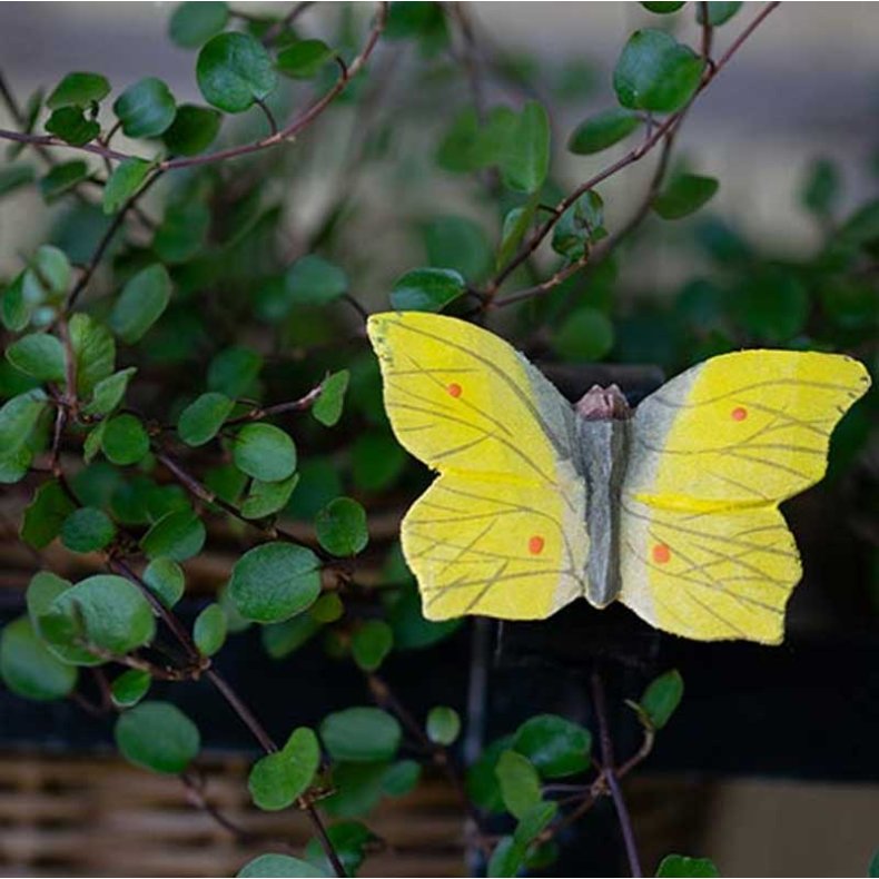 Wildlife Garden Magnet Citronsommerfugl