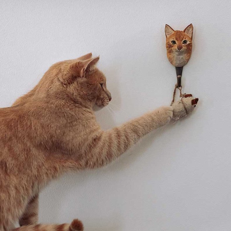 Wildlife Garden Knage Huskat