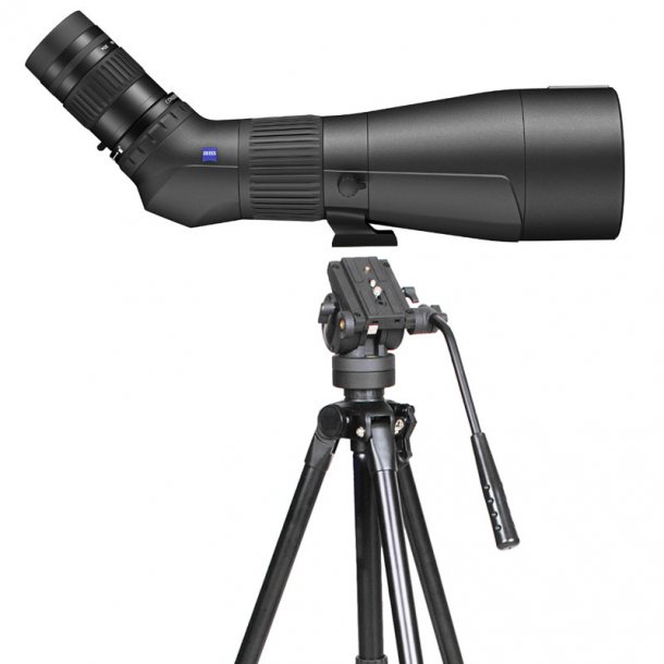 ZEISS Gavia HD 85mm teleskop med stativ